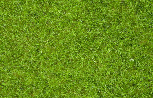 Noch 07092 - Wild Grass, light green, 6 mm