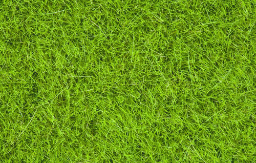 Noch 07093 - Wild Grass, bright green, 6 mm