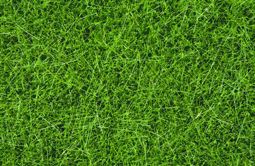 Noch 07094 - Wild Grass, dark green, 6 mm