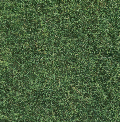 Noch 07102 - Wild Grass, light green, 6 mm