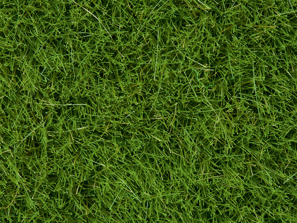 Noch 07104 - Wild Grass, bright green, 6 mm