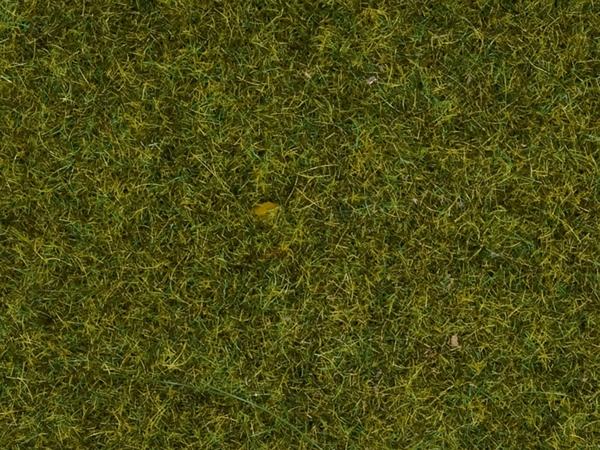 Noch 07117 - Wild Grass Meadow