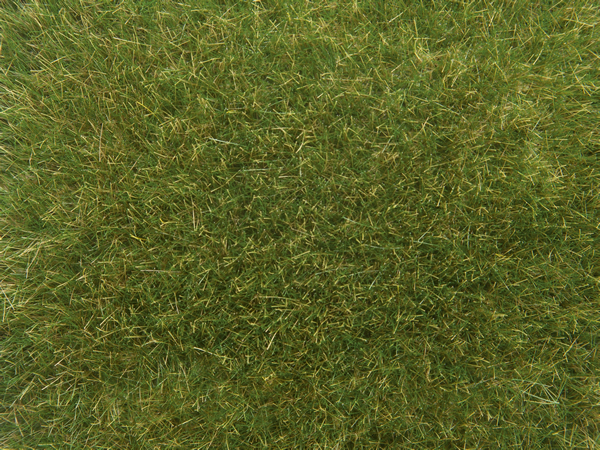Noch 07118 - Wild Grass, medium green 9mm
