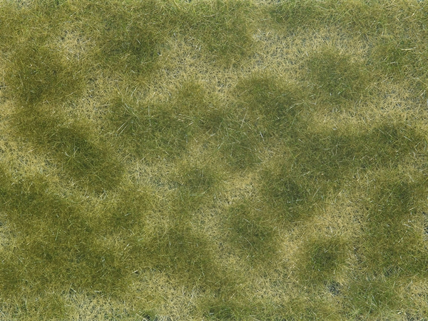 Noch 07253 - Groundcover Foliage, green/beige