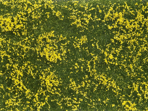 Noch 07255 - Groundcover Foliage, meadow yellow