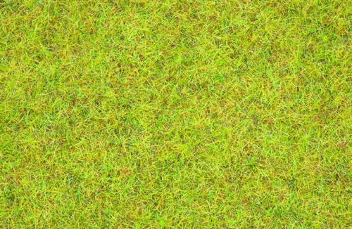 Noch 08151 - Scatter Grass Summer Meadow, 2,5 mm