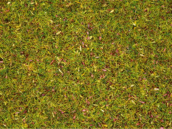 Noch 08330 - Scatter Grass Flower Meadow, 2,5 mm