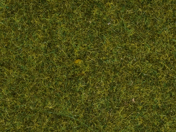 Noch 08361 - Scatter Grass Meadow