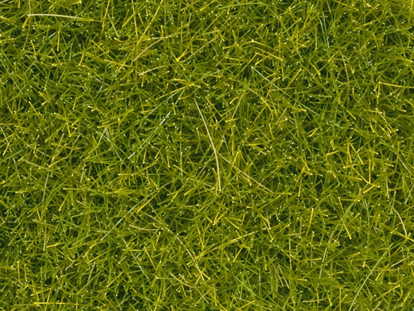 Noch 08363 - Scatter Grass, light green