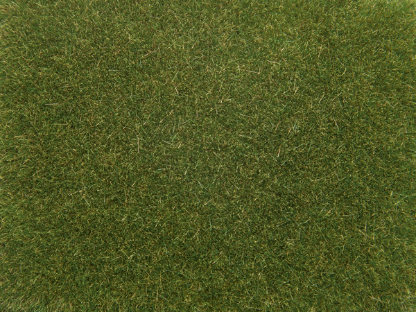 Noch 08364 - Scatter Grass, medim green 4mm