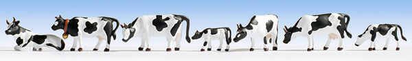 Noch 15721 - Cows, black-white