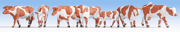 Noch 15726 - Cows, brown-white