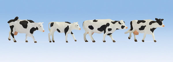 Noch 17900 - Cows black-white