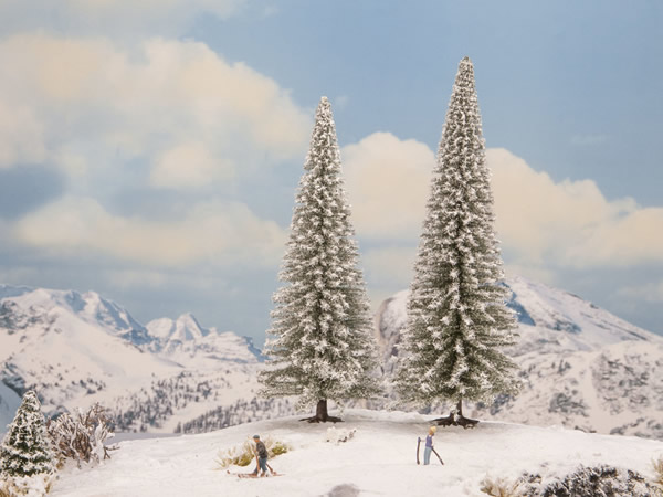 Noch 21965 - Snowy Fir Trees