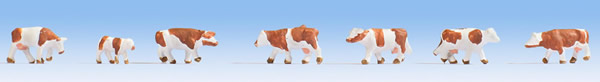 Noch 44251 - Cows, brown-white