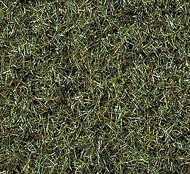 Noch 50200 - Scatter Grass Marshy Soil, 2,5 mm