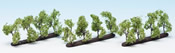 Plantation Trees