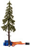Falling Spruce Tree 