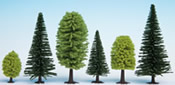 Mixed Forest, 25 trees, 3.5 - 9 cm high