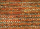 Carton Wall Red Brick