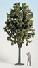 Deciduous Tree, approx. 40 cm high