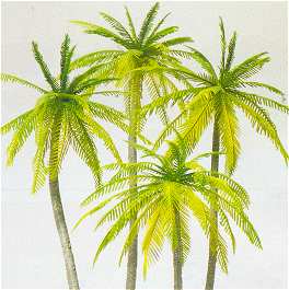 Preiser 18600 - Palm trees 4/