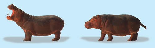Preiser 20373 - Hippopotamuses