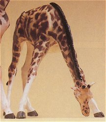 Preiser 47502 - Giraffe feeding