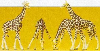 Preiser 79715 - Giraffes