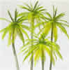 Palm trees 4/