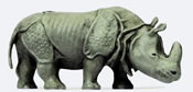 Indian Rhinoceros #2