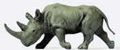 African Rhinoceros #2