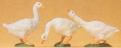 Geese                  3/
